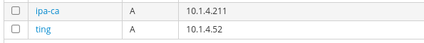 ../_images/freeipa_ftestlocal-dnsrecords.png