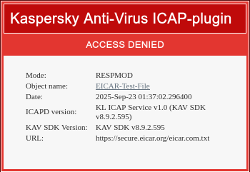 ../_images/kaspesrky-file-blocked.png